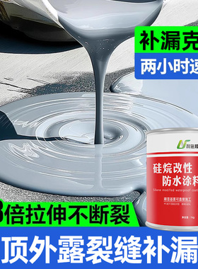 利施邦屋顶防水补漏材料外墙漏水修补楼顶裂缝专用硅烷涂料免砸砖