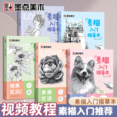 墨点素描入门临摹本零基础入门初学者临摹教材书视频教学静物花卉人物动物铅笔绘画画册美术技法小白自学绘画铅笔画手绘临摹本画册