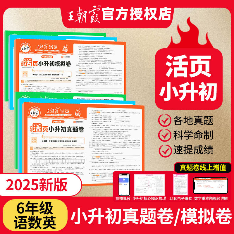 小升初活页真题卷模拟卷