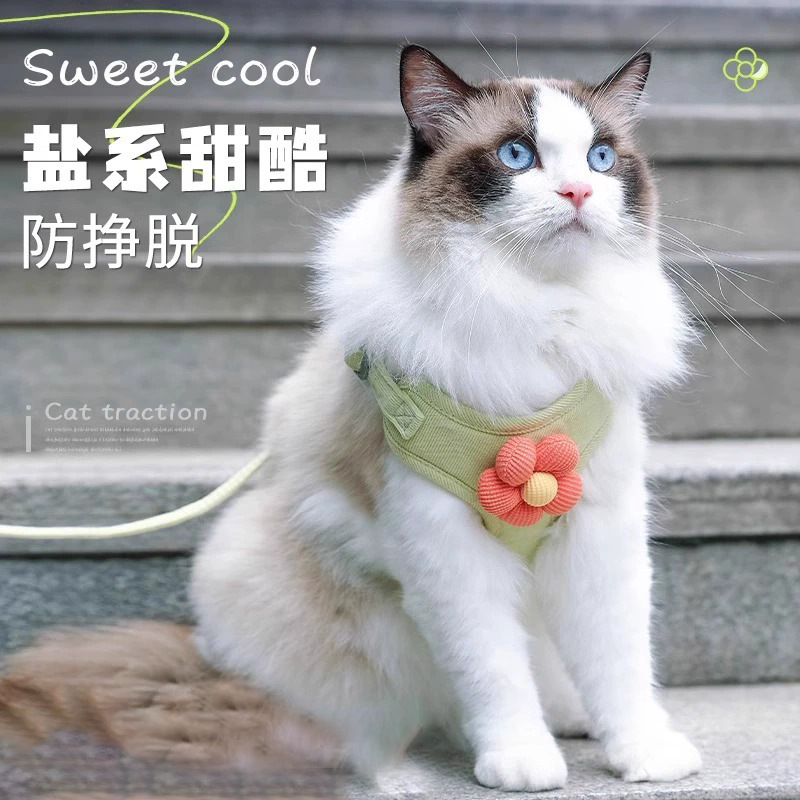 猫咪牵引绳宠物胸背带背心式防挣脱猫绳子遛猫绳溜猫链子外出