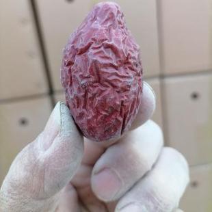 2025新疆直发大枣正宗马牙枣兵团三师48团红枣枣农自产自销包邮