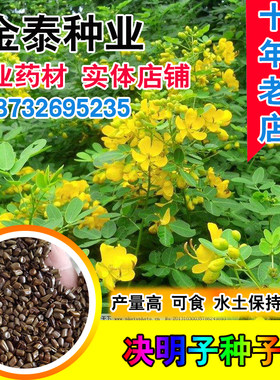 绿豆入药特菜明目饮用泡茶种子