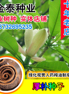 今年新采集川朴紫油种子