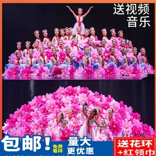 第十一届小荷风采儿童演出服成长在祖国的怀抱里蓬蓬裙舞蹈合唱服