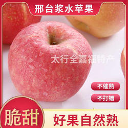 邢台特产浆水苹果经济装4.5斤9斤批发脆甜多汁不打蜡新鲜带皮吃