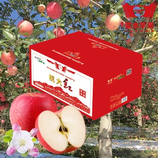 邢台特产浆水苹果精品礼盒装12枚果王脆甜可口家乡特产京东包邮