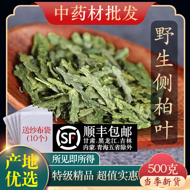 中药材特级野生侧柏叶500g新鲜