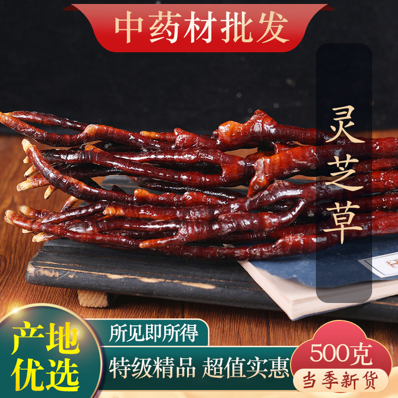 正宗灵芝草中药材长白山500克