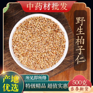 中药材特级野生柏子仁500g克正品 新货柏子仁茶柏子仁粉柏酸枣仁