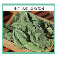 The dried mulberry leaves of the Chinese medicinal herb, mulberry leaf tea, soaked in water and frost, and 500g of genuine mulberry leaf powder can blacken hair thumbnail 6