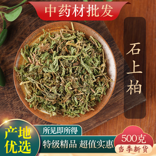中药材精选石上柏 深绿卷柏 梭罗草 地梭罗薄叶龙鳞草 500g克