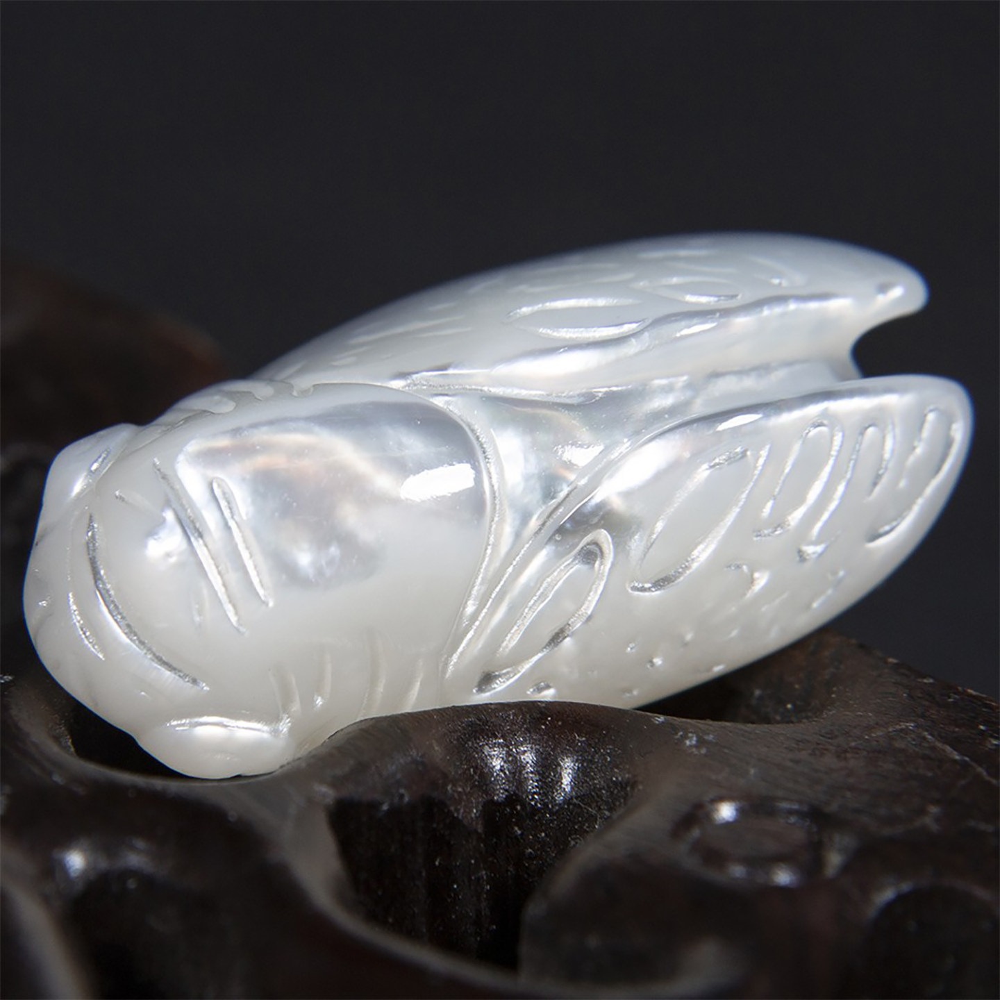天然珍珠母贝金蝉子DIY手串配件图片