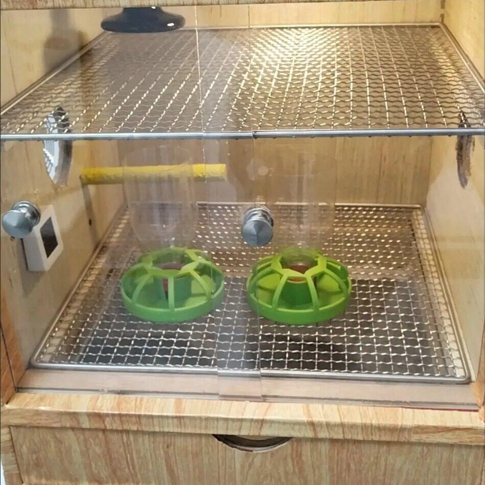 鸟笼鸡笼专用网片加粗款铁丝网格脚垫小孔加密长方形防鼠diy拼接图片