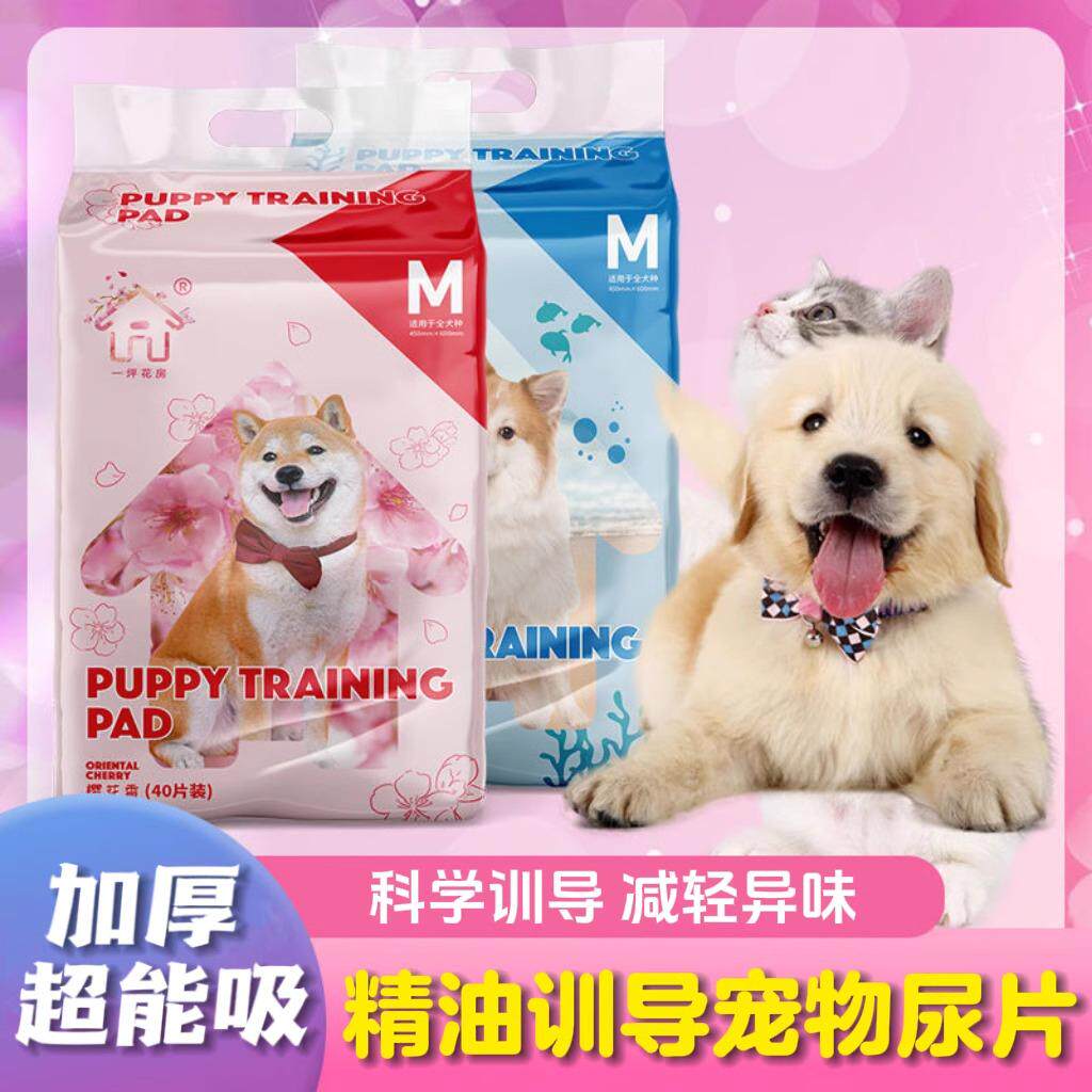 精油训导宠物尿片加厚吸水抑味诱导上厕所狗定点排尿垫毛孩子