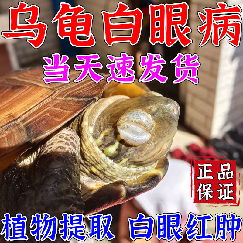 乌龟白眼病专用药蒙眼发白滴眼液