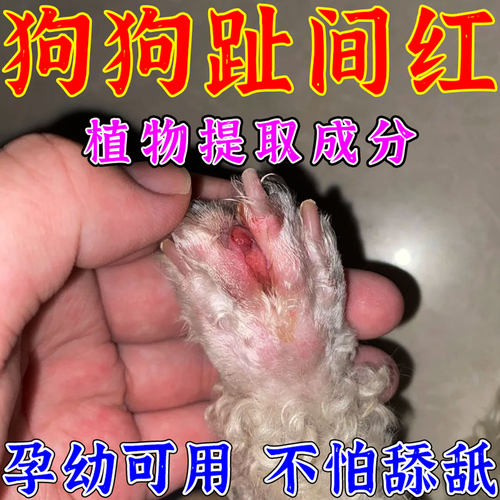 【宠医推荐】狗狗趾间红专用剂
