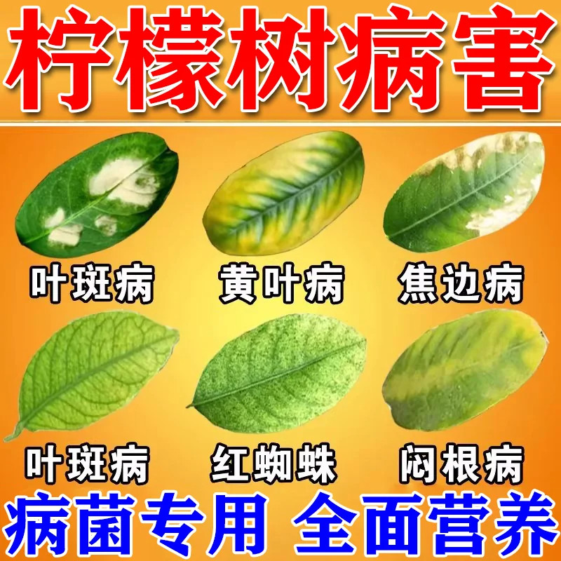 柠檬树专用肥虫子香水柠檬叶子肥