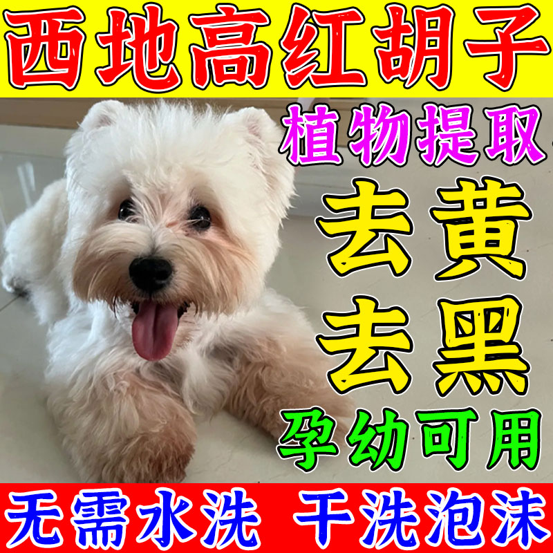 西地高去黄胡子雪纳瑞狗狗泪痕