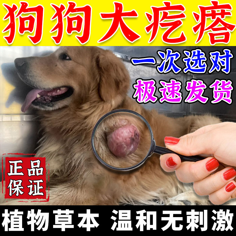 狗狗脂肪快消特效的药