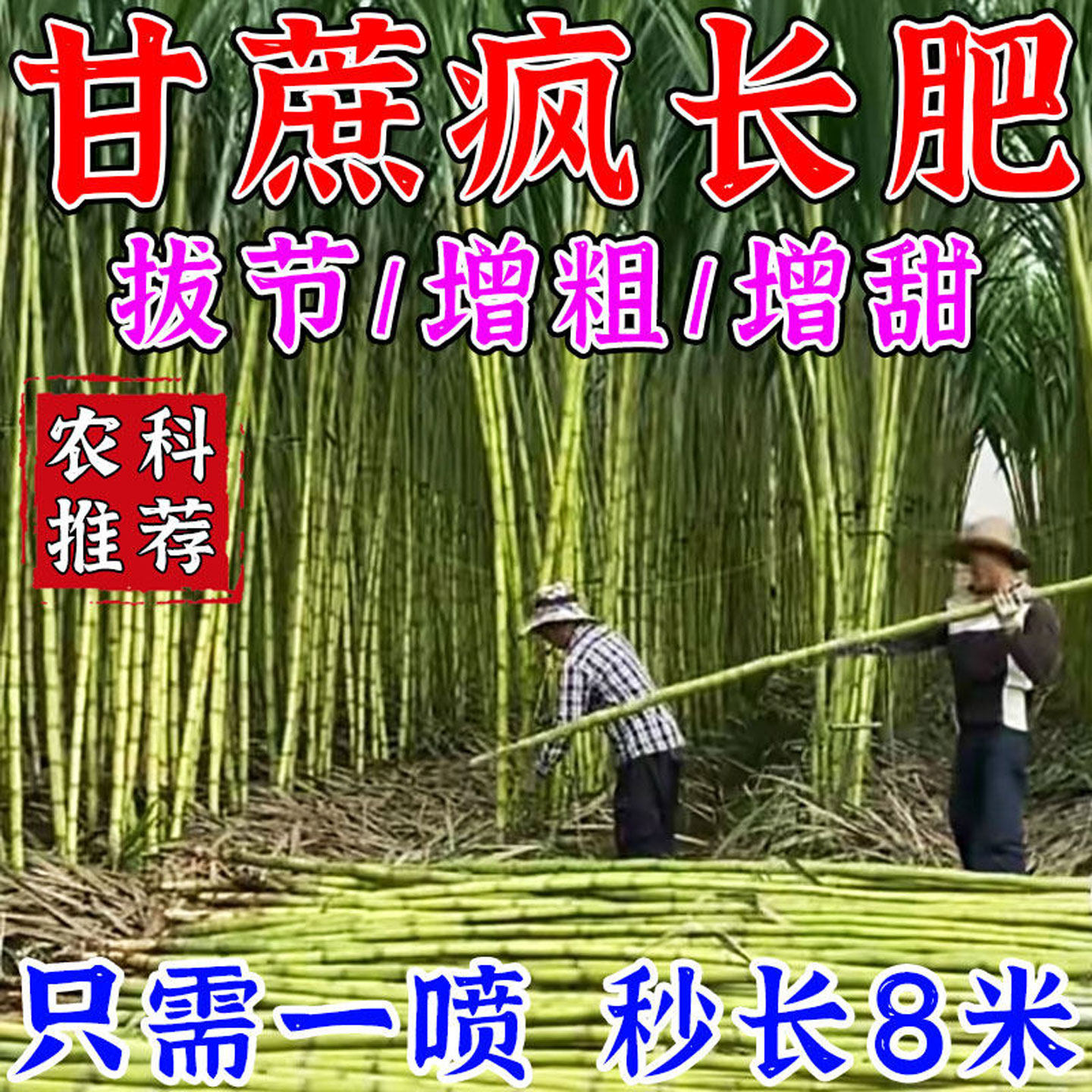 甘蔗拉长增甜剂膨大素壮尾肥