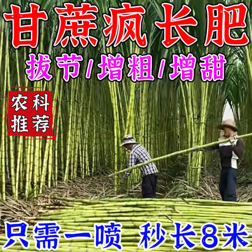 甘蔗拉长增甜剂膨大素壮尾肥