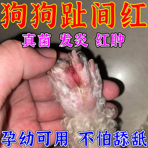 【宠医推荐】狗狗趾间炎专用剂