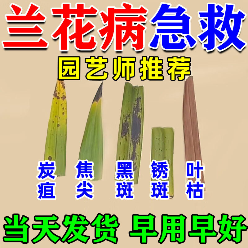 兰花专用杀菌药黑斑病烂根营养液