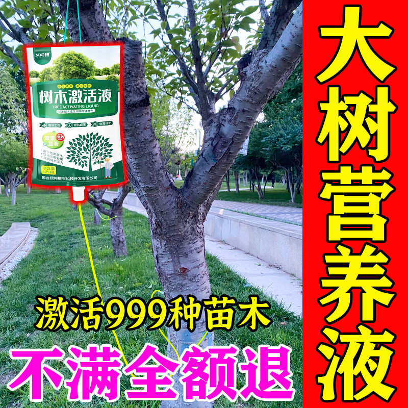 大树营养液吊针袋果树移栽生根药
