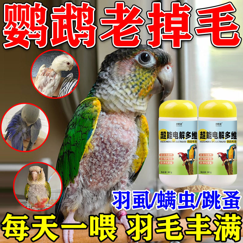 鹦鹉掉毛怎么办鸟用多维电解质