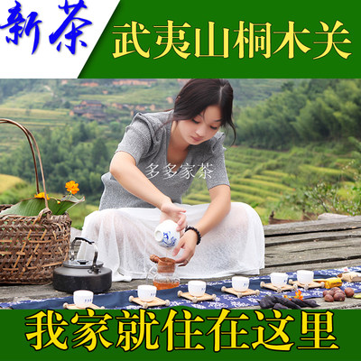 品茶师武夷山茶叶桐木