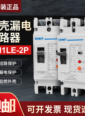 正泰漏保单相220V漏电断路保护器NM1LE 100A125A250A大功率2P漏保