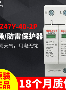 德力西浪涌保护器 家用避雷器 防雷击220V 2P40KA电涌DZ47Y-40