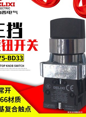 德力西旋钮开关 三档旋钮 LAY5-BD33 三档 两常开 XB2 2NO