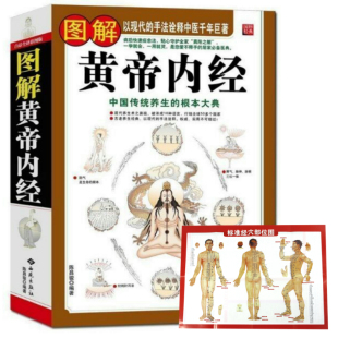 图解黄帝内经 黄帝内经素问校释运气七篇讲解全本翟双庆解读王洪图内经讲稿切脉针灸针法校注灵枢集注译释以象释医大国医