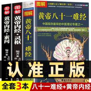 图解黄帝内经素问 图解黄帝八十一难经 灵枢中医经典 全3册 中医基础入门理论医学书经络针灸黄帝外经全集白话解书籍