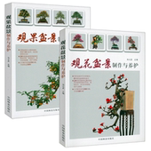 观果盆景制作与养护 观花盆景 盆景观赏园艺图解盆景制作与养护造型技艺详解金弹子树桩盆景树木盆景造型制作技法书籍 2册