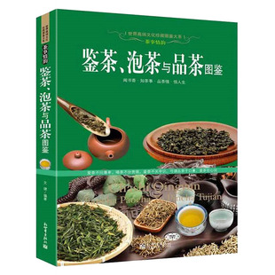 彩图铜版 鉴茶泡茶与品茶图鉴世界高端文化珍藏图鉴 纸茶书茶艺道茶文化茶经学做茶泡茶茶叶品鉴新手鉴茶百科大全宝典书籍