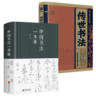 艺术常用笔法中国书法大全入门初学者学习练习书法教程教学书籍 中国书法一本通 书法 传世书法 2册