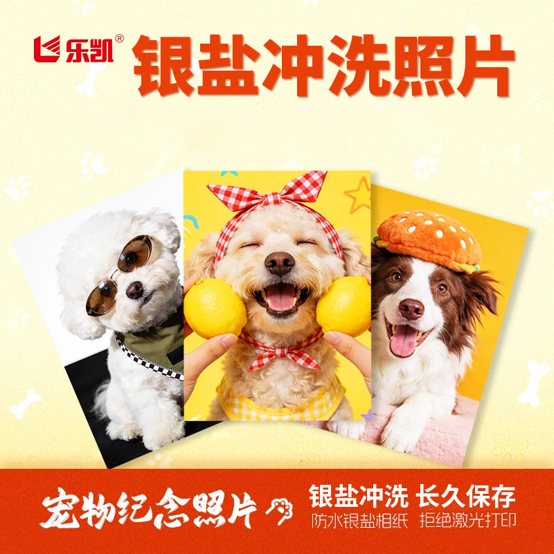 乐凯照片冲印专业银盐冲洗图片