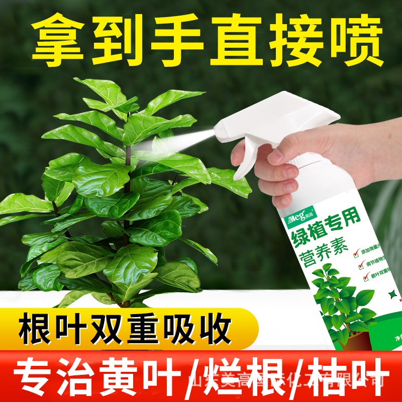 绿植通用营养液黄叶卷边通用天堂鸟富贵竹绿萝专用营养素有机肥料 鲜花速递/花卉仿真/绿植园艺 家庭园艺肥料 原图主图