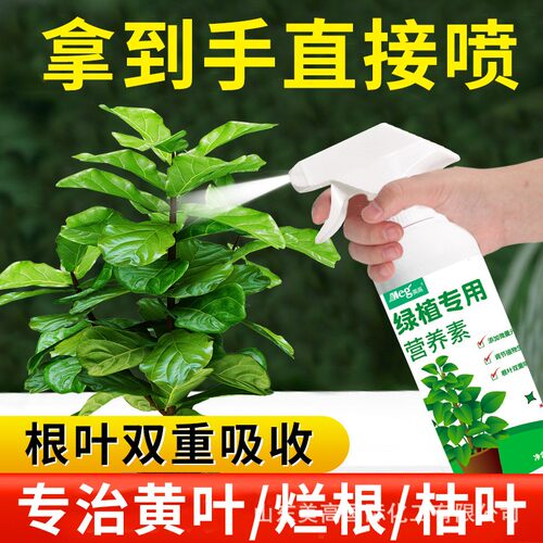 绿植通用营养液黄叶卷边通用