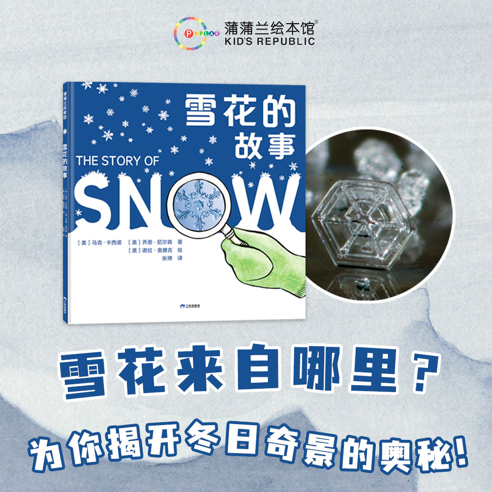 【新版】雪花的故事——精装 5岁以上 自然科学摄影科普绘本 知识与艺术之美 雪花的形态形成变化过程  蒲蒲兰绘本馆旗舰店