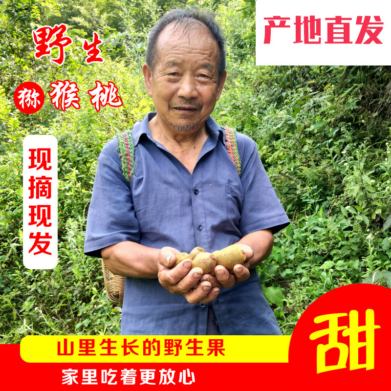 秦岭野生猕猴桃新鲜孕妇应季水果奇异果/猕猴桃