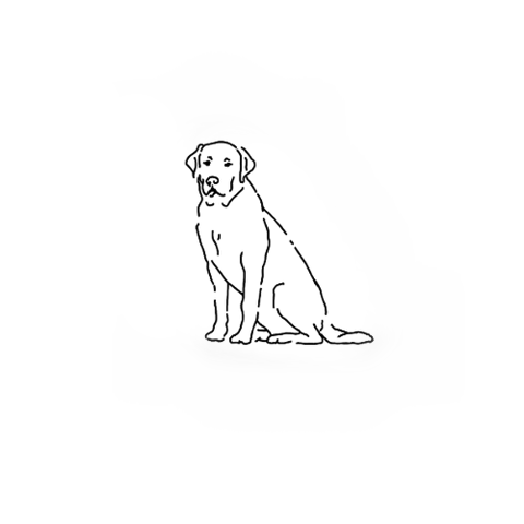 【inkbox】果汁纹身模板 (v26)5*5.5cm狗