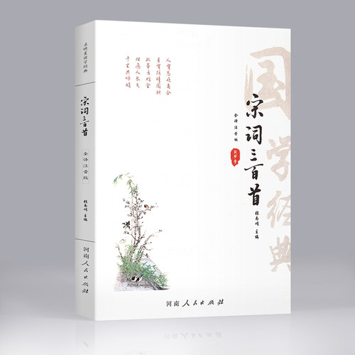 宋词三百首 全译全注音版 中国古诗词大全 宋词300首全注音版 原文注释译文 中国诗词大会青少年古诗词古典文学 古诗词鉴赏