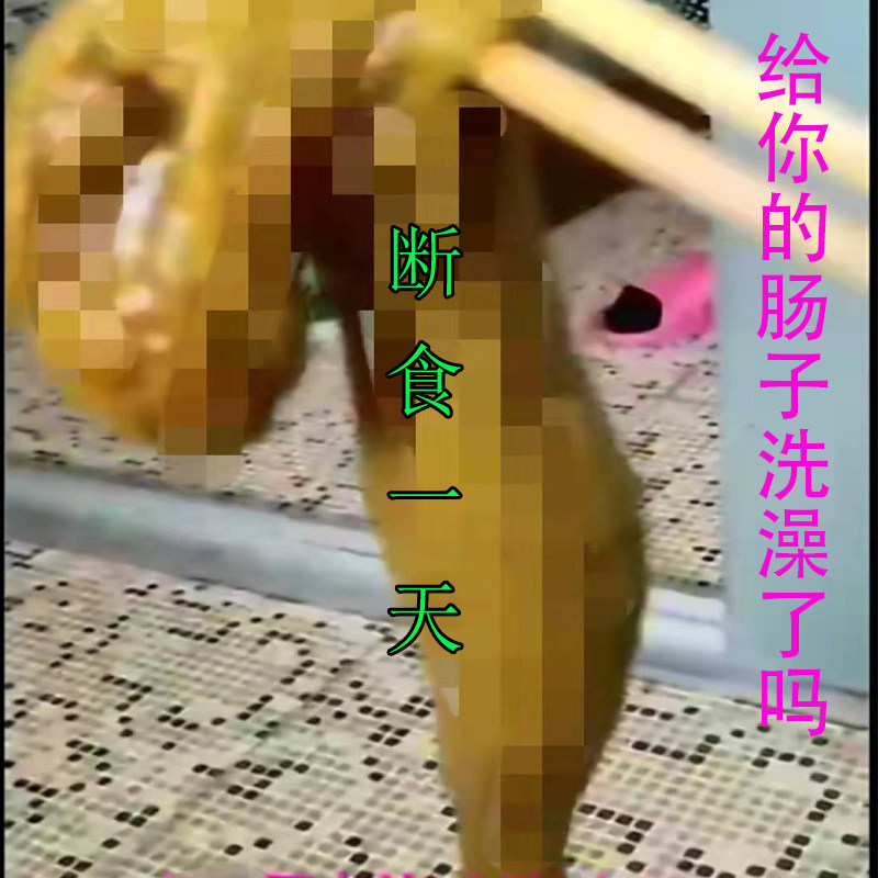 新品综合果蔬酵素粉肠排断食一天复合水果孝素藤黄果非清肠排宿便|msdalam kategori Makanan Kesihatan/makanan tambahan, 普通膳食营养食品, 菌/菇/酵素, 酵素 - dari Buy2taobao.com untuk memberikan perkhidmatan ejen Taobao profesional membeli