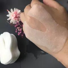 丽拓面膜纸眼膜纸美容院服帖透气