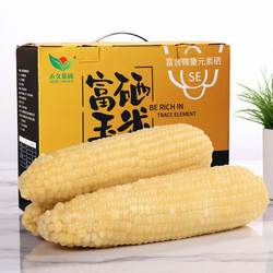 【富硒玉米】张家口禾久鲜食白糯玉米黏粘真空礼盒装非转基因10棒