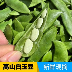 3斤新鲜白玉豆上饶崇明特产洋扁豆子福建农家时令蔬菜白芸豆1斤