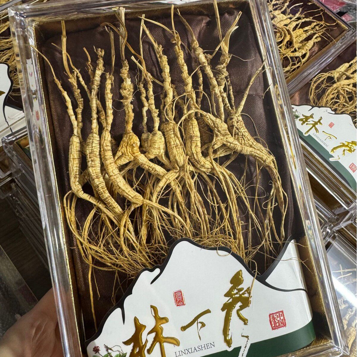 长白山人参20年林下参礼盒生晒干参整支山参泡茶泡酒送礼送长辈